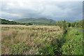 NM9443 : Drainage ditch and grazing land at Ardnaclach by Steven Brown