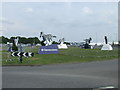 Zebras on the roundabout