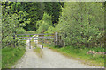 NM9244 : Gated forestry road near North Shian by Steven Brown