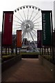 Liverpool Wheel