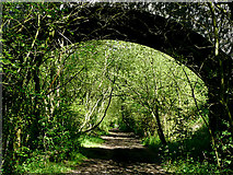 SJ8120 : Through the arch on the old railway track by Roger  D Kidd