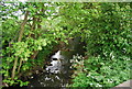 Burniston Beck from Cow Wath Bridge