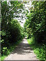 Cycle path near Penarth