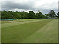 Canford, cricket pitch