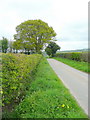 Lane near Mynyddbrydd