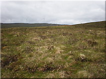 NH2806 : Wind farm from Meall nan Calman by Sarah McGuire