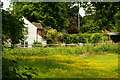 In the Corner of the Field, Lower Beeding, Sussex