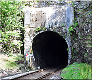NM6985 : Borrodale Tunnel by Greg Morss