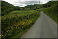 Lane near Llawr-y-glyn