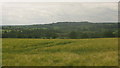 View from the Wealdway near Fitchetts Farm