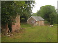 TQ5138 : Farm ruins on Sussex Border Path  near Clayton's Wood by David Anstiss
