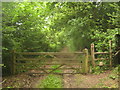 TQ5138 : Stile and gate on the Sussex Border Path by David Anstiss