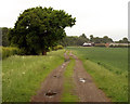 Bridleway to Hutton Wandesley