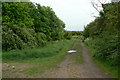 Footpath off Daniels Way