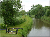 SK7285 : The Chesterfield canal north of Hayton by Andrew Hill
