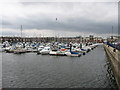 Royal Quays Marina (2)