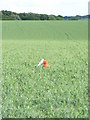 Bird Scarer at Moat Farm