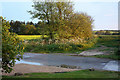 Fields opposite Malting Farm Holiday Cottages