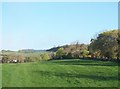 Undulating landscape on the western side of Castlewellan