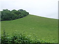 North Downs, near Thurnham