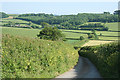 Yealmpton: by Wilburton Cross