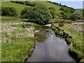 The Afon Bidno above Bidno Mill