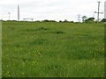 Pasture near Kirkstyle