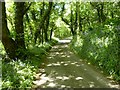 Shaded road south-west of Granston