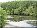 NY1176 : The River Annan by M J Richardson
