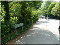 Pavement in Bickley Park Road