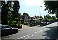 Lamppost in Bickley Park Road