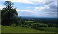 View near Felixkirk