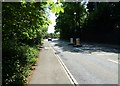 Belisha type beacon in Blackbrook Road