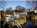 Rotherham Lock, Rotherham