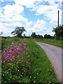 Back Lane, Bagby