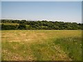 Harvested meadow at Betws Bach