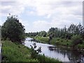 Forth & Clyde Canal at  Harestanes