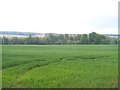 Gloucestershire farmland