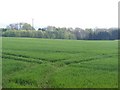 Gloucestershire farmland