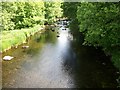 A placid Afon Dwyfor above Pont Llan