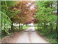 Driveway to Weston Park Farm