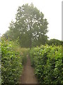 Footpath near Hunson Farm