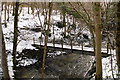 Footbridge over the Afon Clwyedog