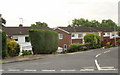 Plane Tree Close, Caerleon