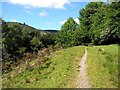 Bridleway above the Afon Llwyd