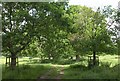 Avenue across Montacute Park