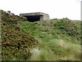 NU1635 : WWII gun emplacement, Budle Bay by Andrew Curtis