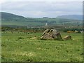 Rock in a field