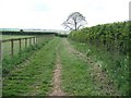SP2422 : Footpath to Gawcombe [1] by Michael Dibb