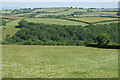 Stoodleigh: above Rifton Wood